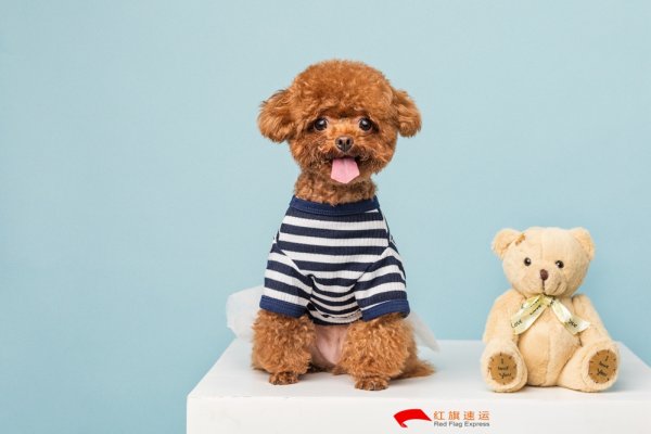 疫情期間香港商品如何轉運到云南德宏呢？